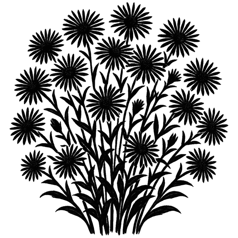 Aster. Black-ink illustration generated by AI