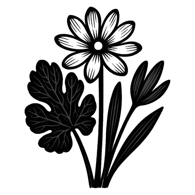 Bloodroot. Black-ink illustration generated by AI