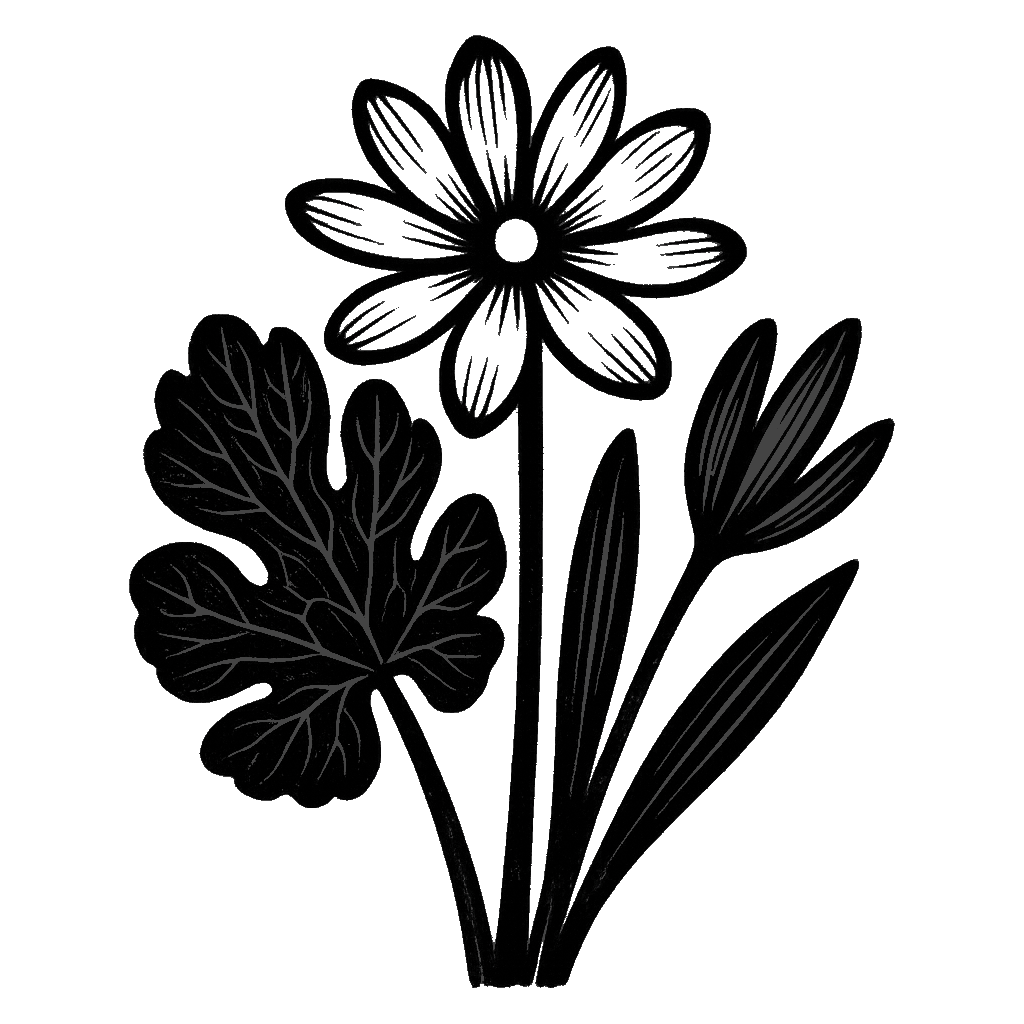 Bloodroot. Black-ink illustration generated by AI
