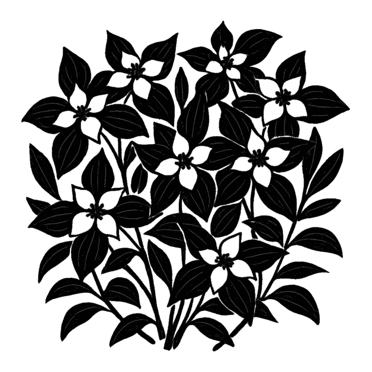 Bunchberry. Black-ink illustration generated by AI