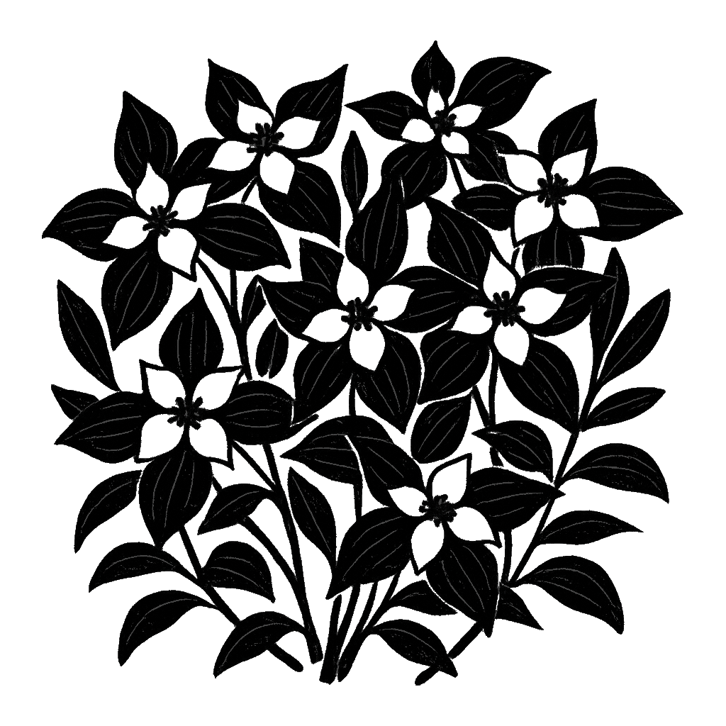 Bunchberry. Black-ink illustration generated by AI
