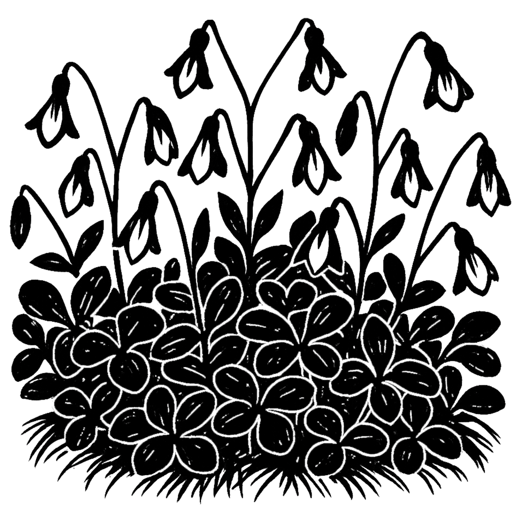 Linnée boréale. Illustration à l'encre noire générée par IA