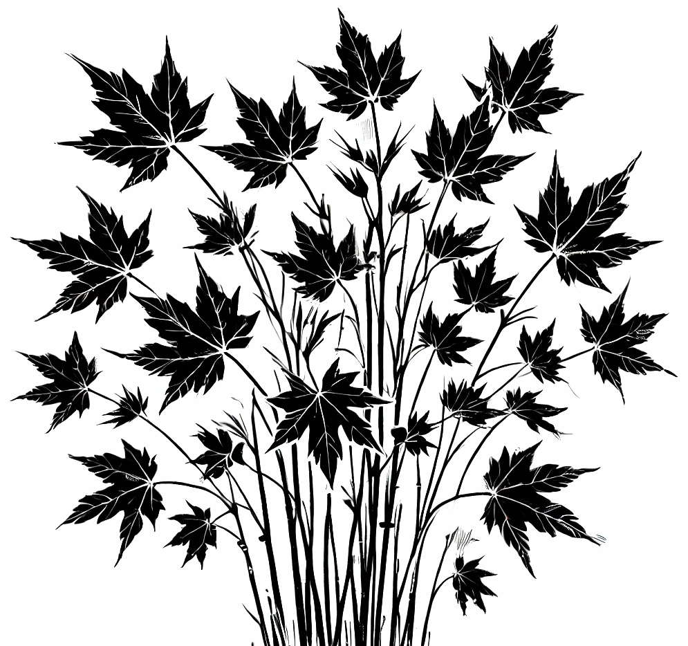 Black ink illustration of maple sapling, representing Canada's national symbol. (Generated by AI)