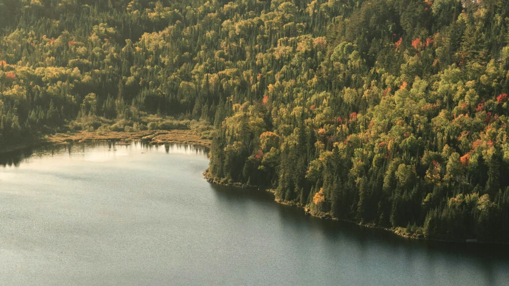 A scenic aerial view of a forested hillside with vibrant autumn foliage surrounding a calm lake. The trees display shades of green, yellow, and red. Photograph by Etienne Delorieux on Unsplash